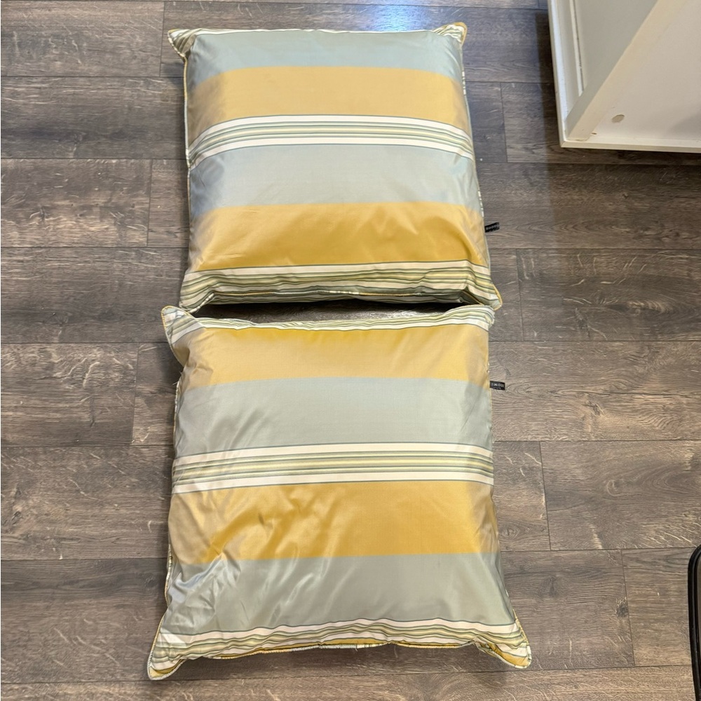 Set of 2 Rodeo Home Feather and Down Throw Pillows‎